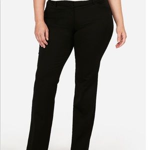 Express Editor Boot Cut Pants